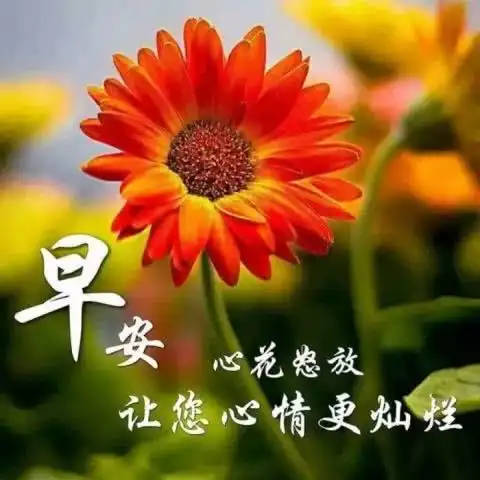 清冬腊月早晨好图片大全早晨表情包动图