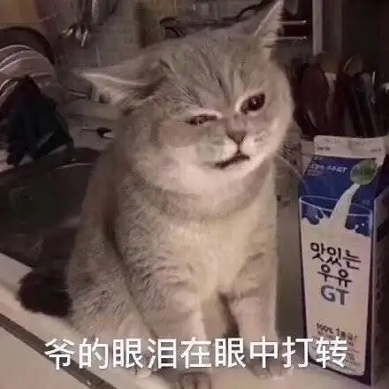 本人是护理本科的大三学生,最近学校有关于德国养老护的项目,我想问问德国养老护士怎么样工资大概是多少