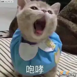 是我不配打扰了表情包咆哮表情包图片下载乐游网游戏下载