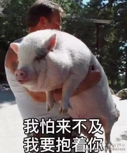 新台风生成预计后天来袭这个周末福州将......