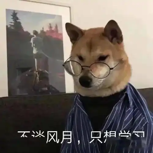 秋天,狗子咳嗽喷嚏打个不停,这是