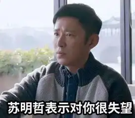 都挺好苏家三父子,一人一句口头禅,被做成表情包,火爆网络