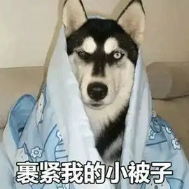 文明交通志愿者丨风雪中,你坚守岗位的样子好美