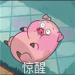 猪猪的凝视摇摇猪表情包