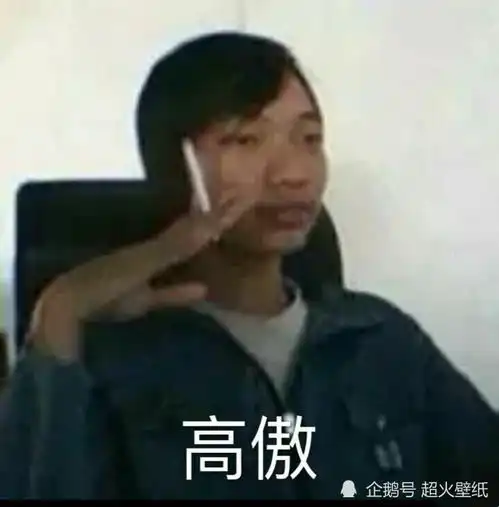 表情包都安排好了会有蚊子替我跟你说晚安