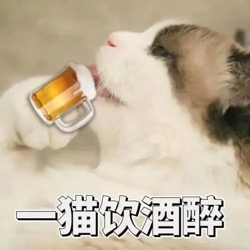 是猫砂还是猫粮粗心老爸竟然给搞混了