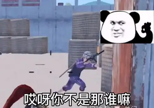 搞笑吃鸡从未见过我这样厚颜无耻的人