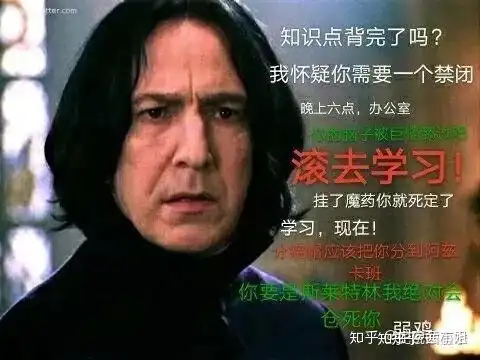 有没有关于哈利波特的表情包