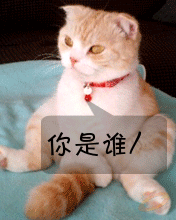 qq表情搞笑qq表情动物图片你是谁