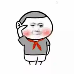 朋友圈专用,升国旗表情包合集史上最全版