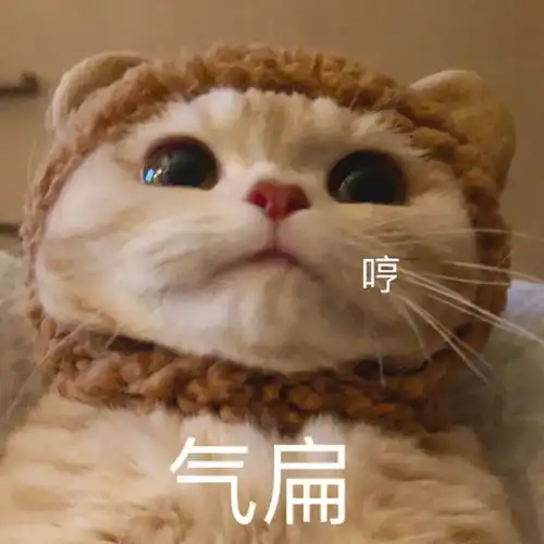 便秘神药小粉丸,真的能治便秘减肥吗