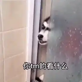 恶搞,搞笑表情包