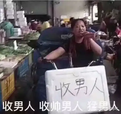都在说插翅难飞很烂,但我觉得我不想放弃,我到底该怎么办