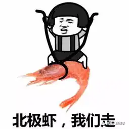 蜜桔节准备到了,爆一些你不知道的事......