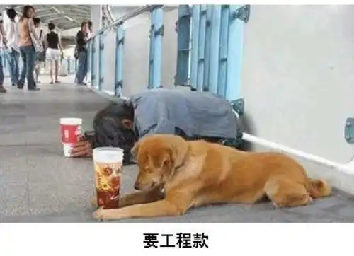 建筑施工人员表情图,非常搞笑