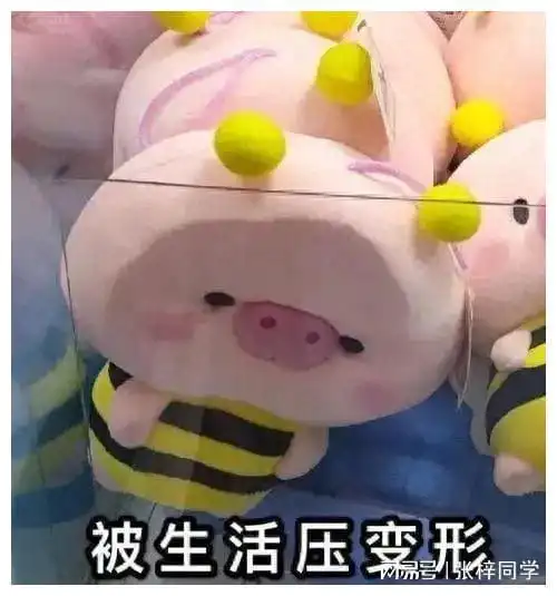 搞笑到飞起的笑话段子
