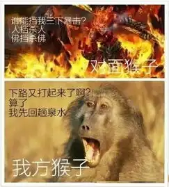 王者荣耀搞笑逗比表情包
