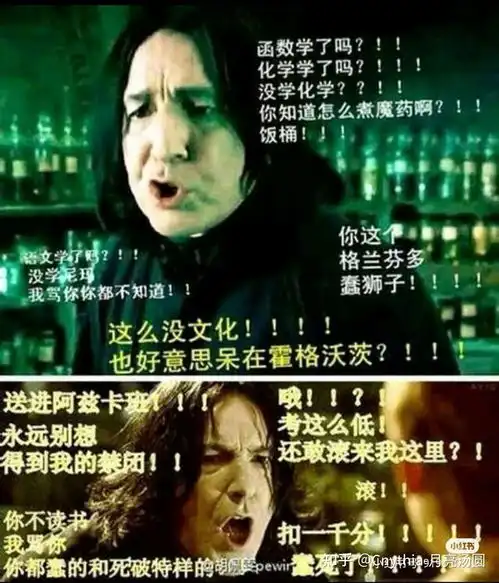 哈利波特表情包