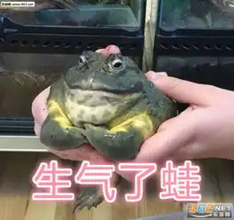 天气很冷小男孩儿表情包晚安好棉表情包下载乐游网游戏下载
