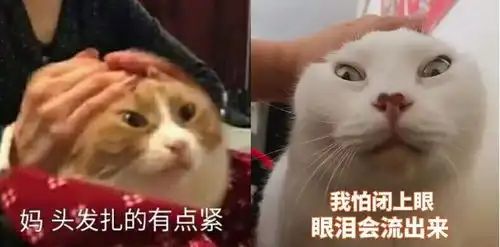 烈火如歌你的童年男神胖雪周渝民已上线