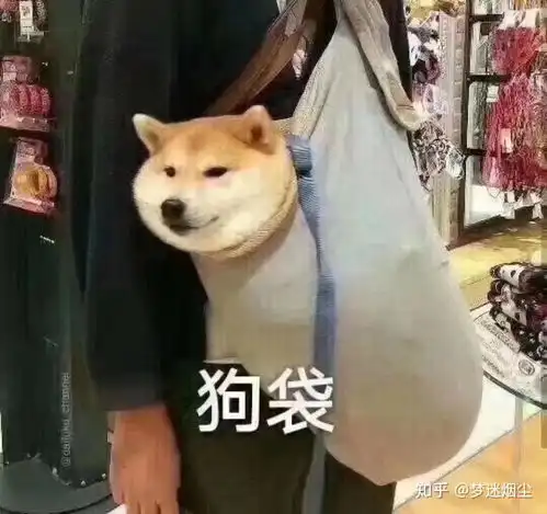 如何学好医学英语