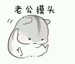 金馆长张学友动态搞笑可爱表情图包一揽及背后故事