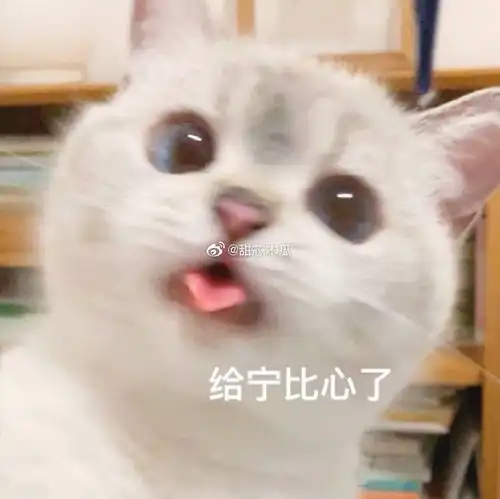 求一个青罗扇子文集