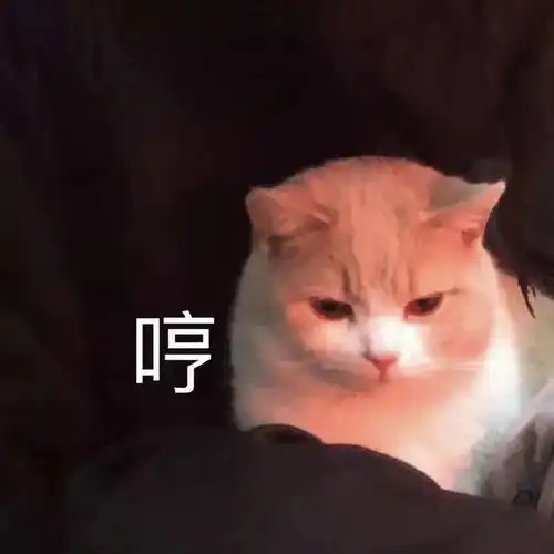 沙雕表情包对不起我对男人过敏
