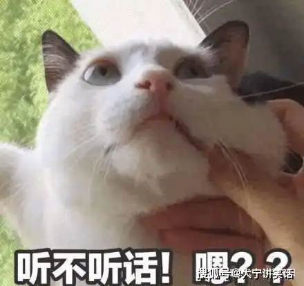 搞笑gif好妖娆的姿势,好有味道的一道菜