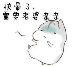 仓鼠抱瓜子堆糖,美好生活研究所
