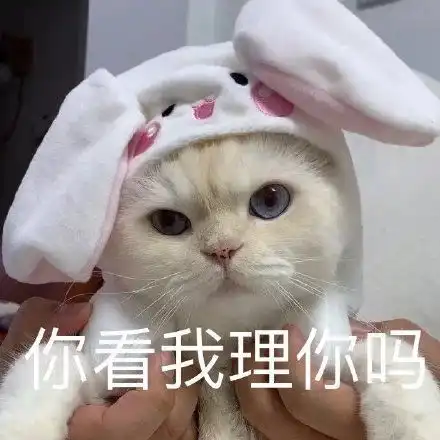 最新沙雕表情包图片超委屈,你看我在勇敢的微笑