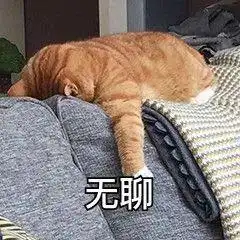 baby34岁生日获男友人祝福,卡点晒拥抱亲密照,好事将近了