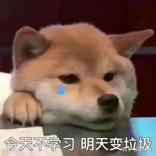 合肥一六八中学和合肥第一中学哪一个更好