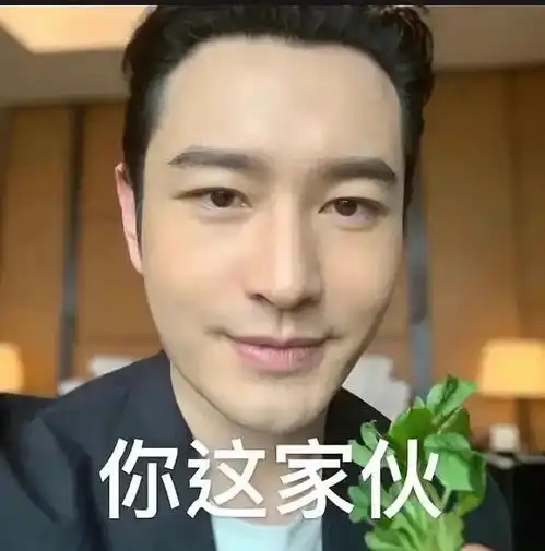 黄晓明表情包