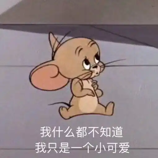 有哪些猫和老鼠表情包
