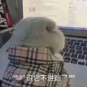 测试一个超长简介的文章