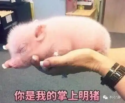 雷佳音让郭京飞分分钟破功但是郭京飞别名郭放飞,也很有毒啊