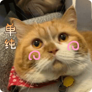 嘿千翻之千千猫表情包