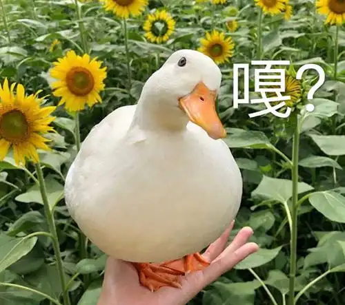搞笑表情包图片我对傻子过敏