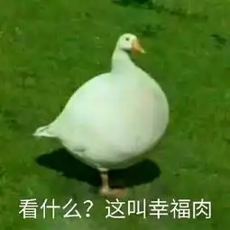 鹅鹅鹅表情包鹅鹅鹅微信表情包鹅鹅鹅qq表情包发表情fabiaoqing.com