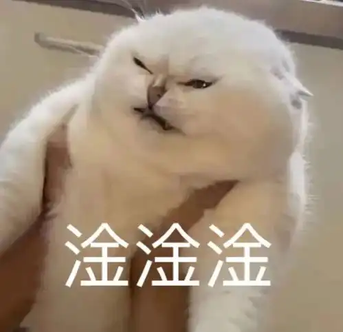 表情包阿猫阿狗沙雕系列含动图