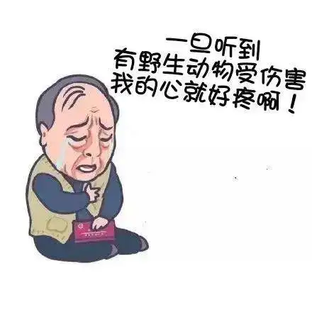 抓青蛙也犯法顺德两人抓27只青蛙被提起公诉,涉嫌非法狩猎罪