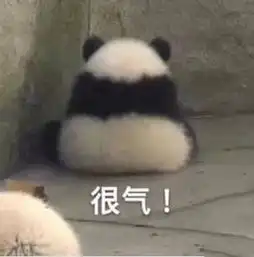 熊猫的表情包请注意你跟老子说话的态度