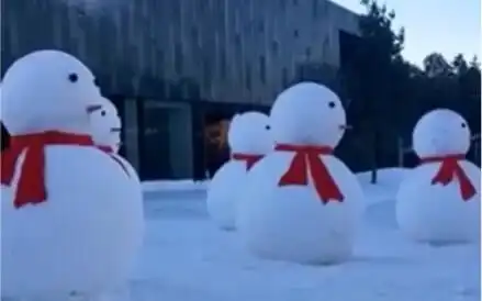 北方的雪人vs南方的雪人,海南那个笑死我了网络上那些高能搞笑的沙雕图第20期