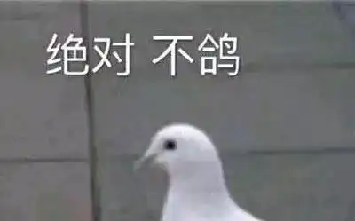 好姐妹怎么会鸽你