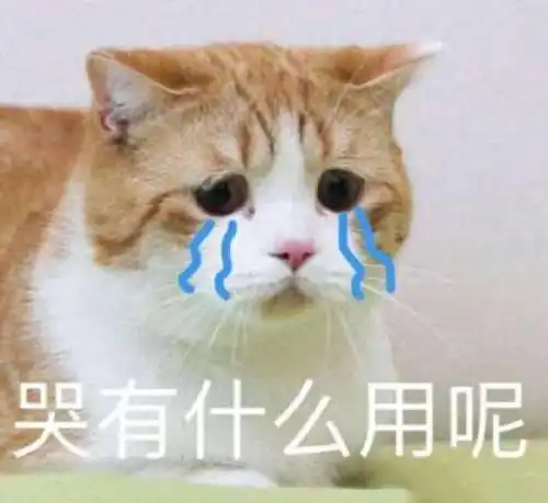 关于委屈的表情包不行,我受不了这委屈