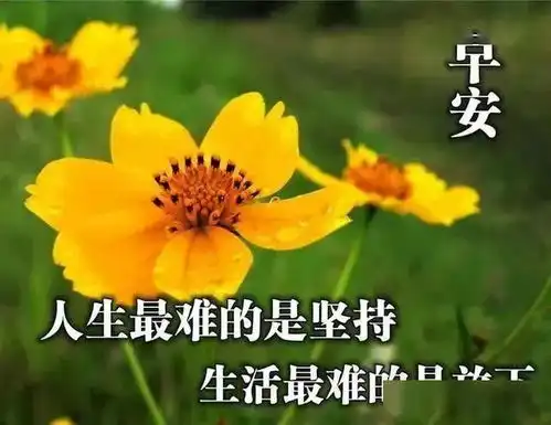 最新早晨好问候语动态图片表情漂亮早上好问候祝福语动表情图片