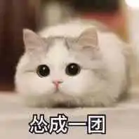 猫咪表情包,喜欢猫猫的来收图啦,可爱中还带着搞笑