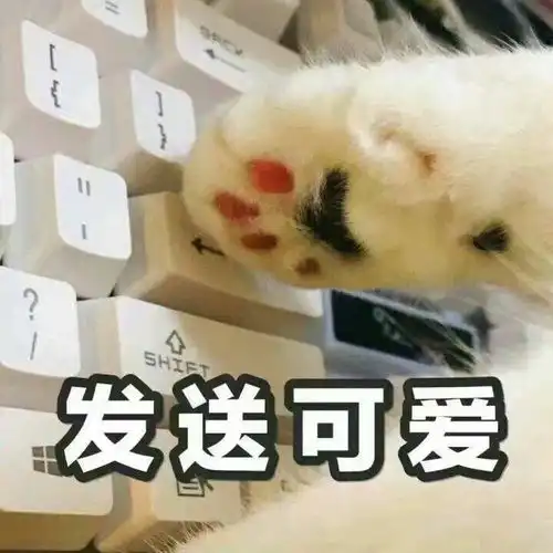 影院影展电影节看过的电影