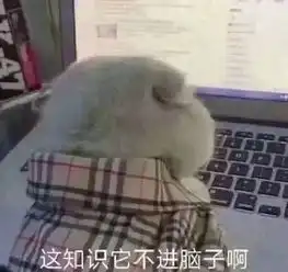测试一个超长简介的文章